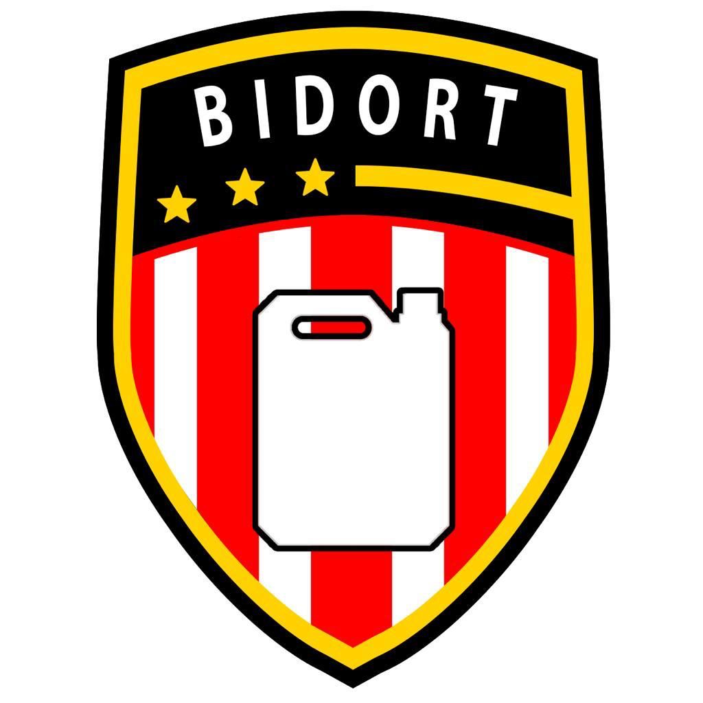 En este momento estás viendo Bidort FC