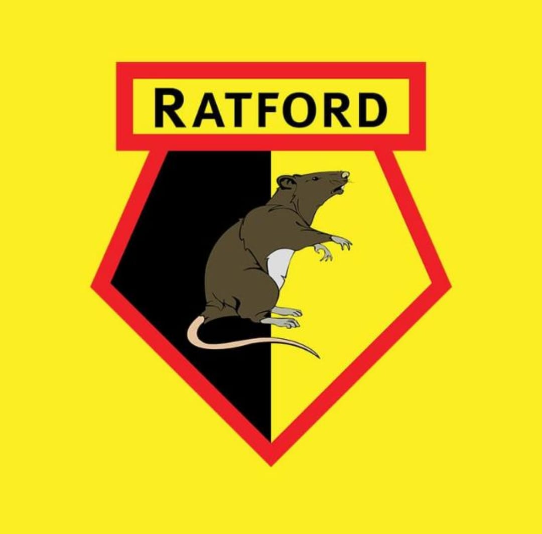 En este momento estás viendo Ratford FC