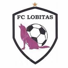 En este momento estás viendo Lobitas FC