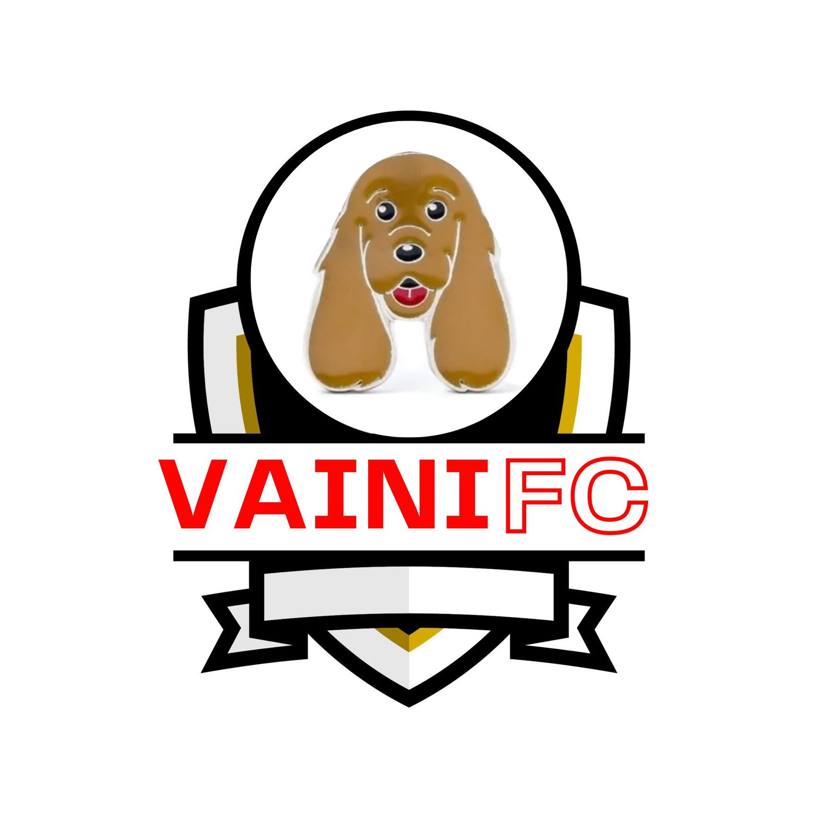 En este momento estás viendo Vaini FC