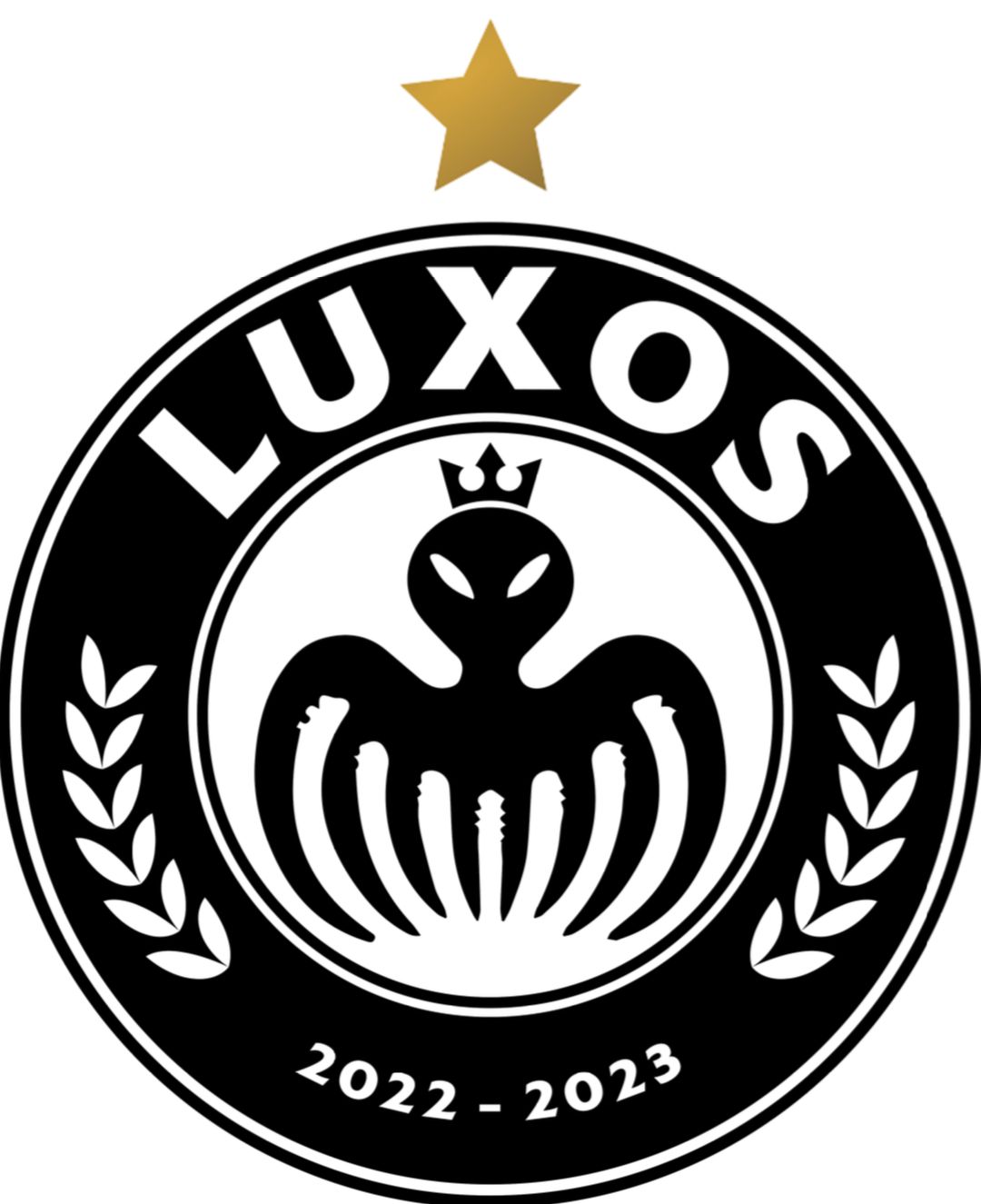 En este momento estás viendo Luxos FC