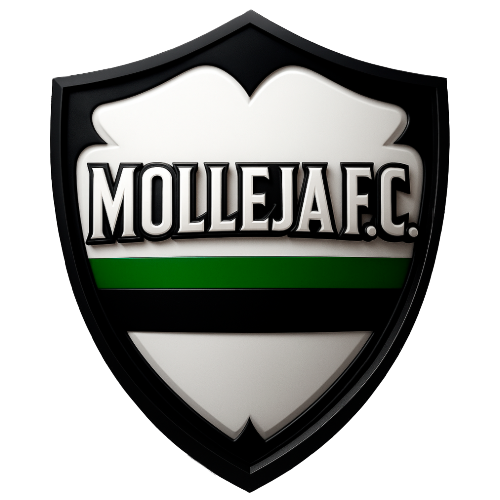 En este momento estás viendo Molleja Futbol Club